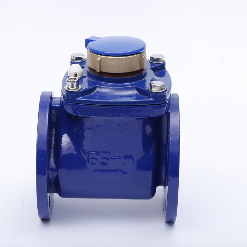 Woltmann Removable Dry Type Flange Water Meter